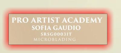 Certificazione Pro Artist Academy - Sofia Gaudio, Microblading
